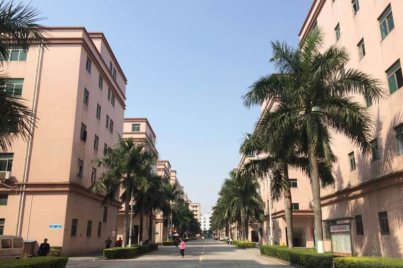 深圳市中（zhōng）大印刷有（yǒu）限公司宣傳片